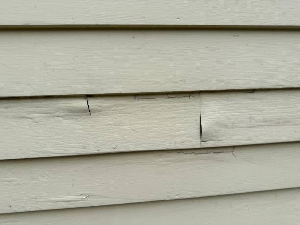 Best Aluminum Siding Installation  in Larned, KS